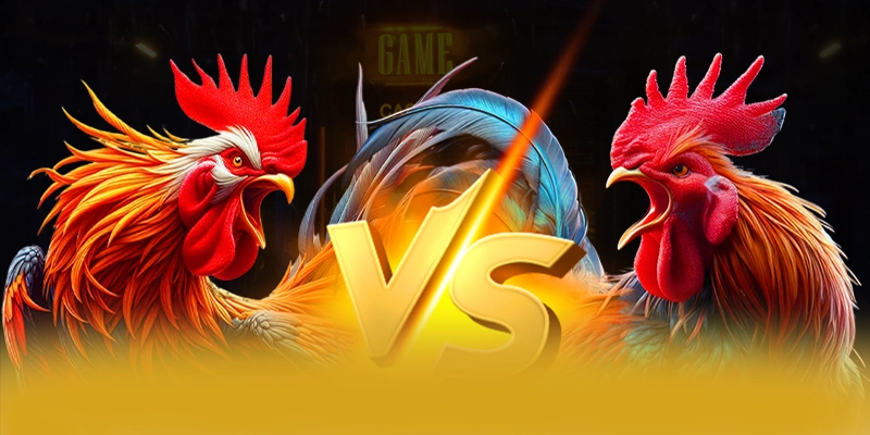 8XBET - Cổng game bài chuyên nghiệp trên thị trường