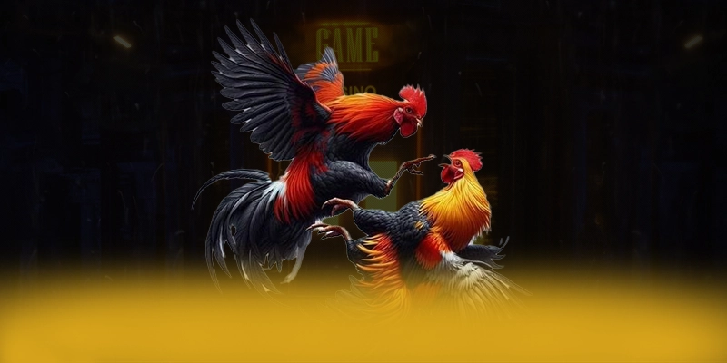 BET168 - Cổng cá cược hiện đại trên thị trường BET168 - Cổng cá cược hiện đại trên thị trường