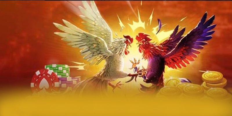 Giải đáp thắc mắc về 8XBET Giải đáp thắc mắc về 8XBET